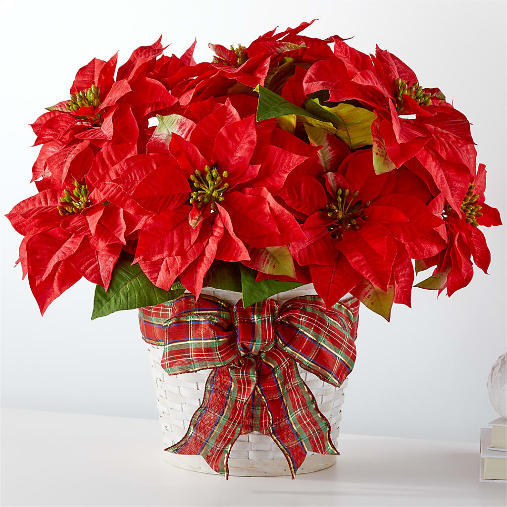 Happiest Holidays Poinsettia – Carrs, Bellevue WA