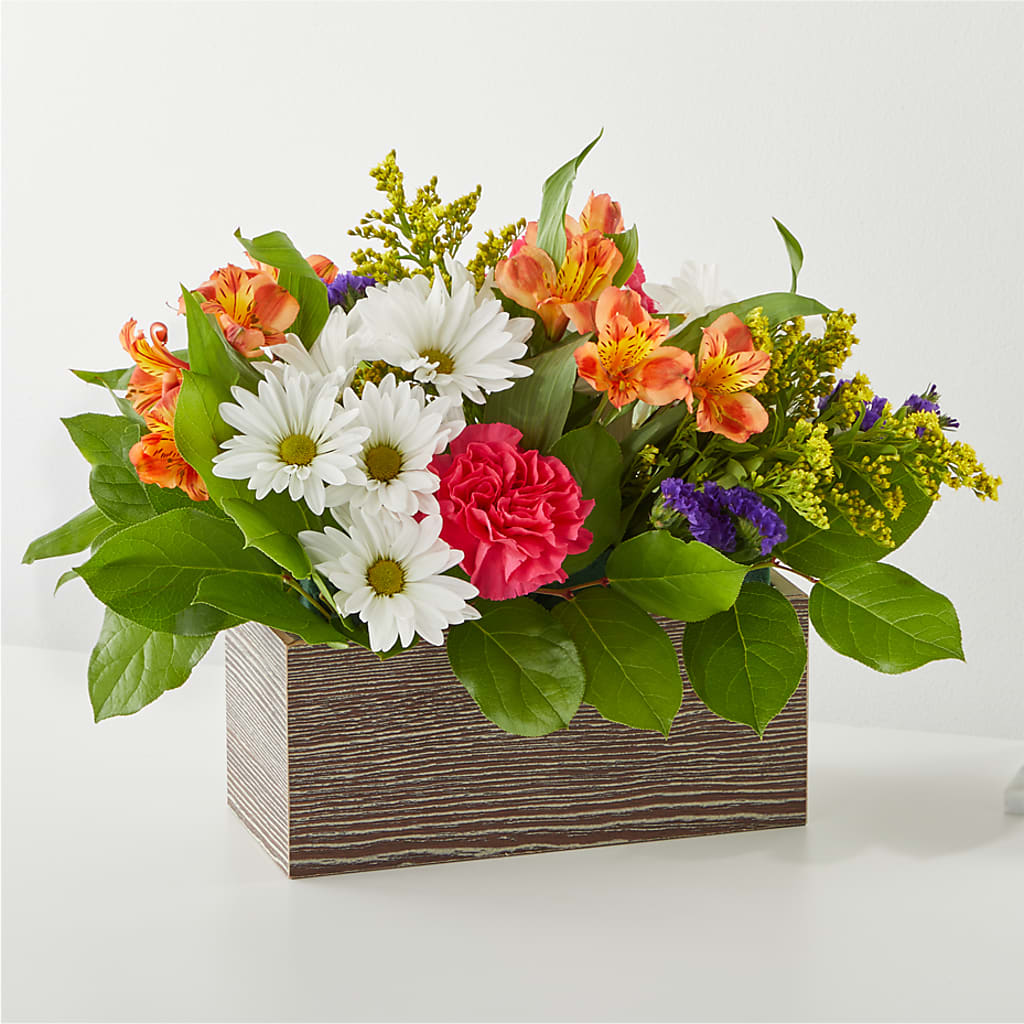Oopsie Daisy Box Bouquet – Carrs, Bellevue WA