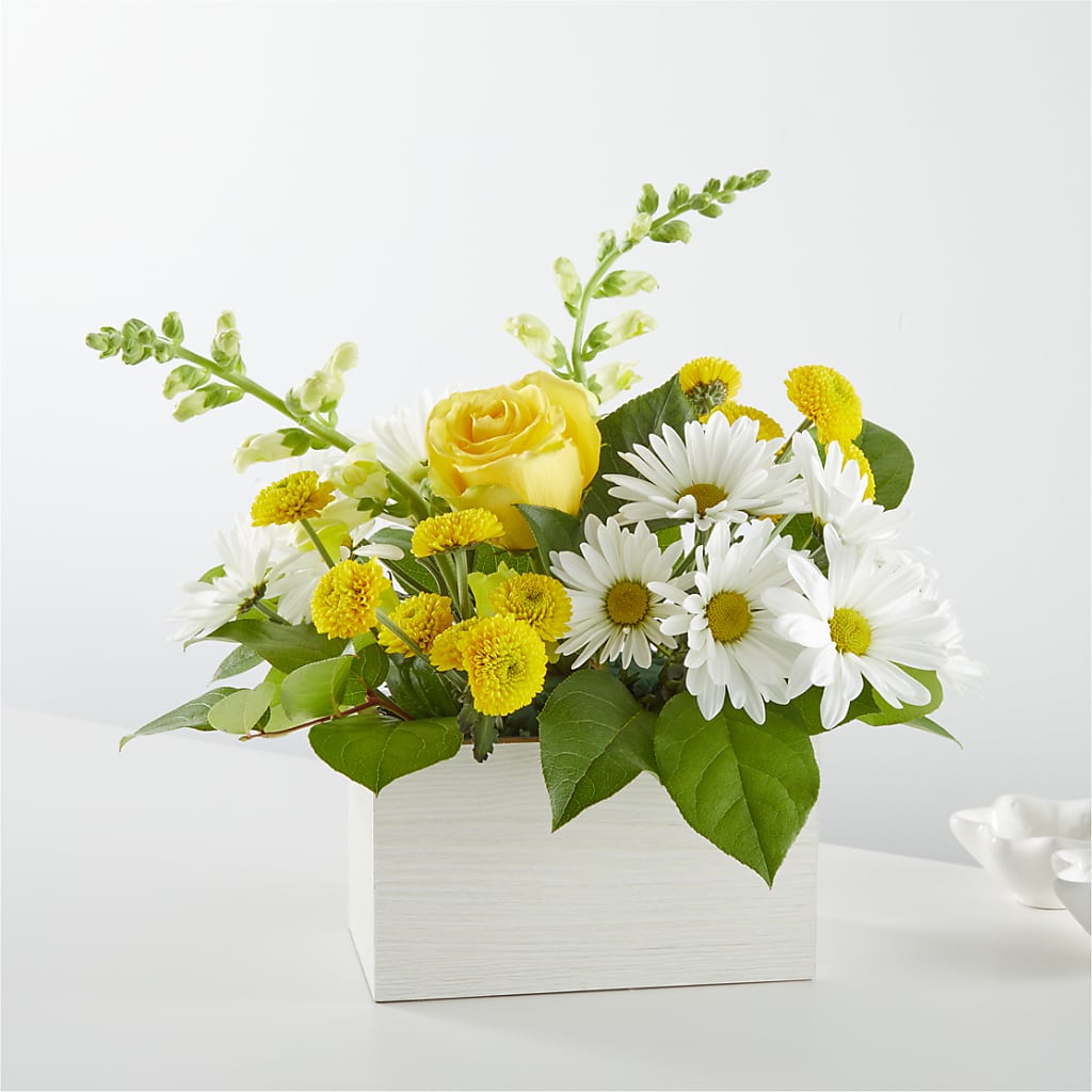 Sun Salutation Box Bouquet – Carrs, Bellevue WA