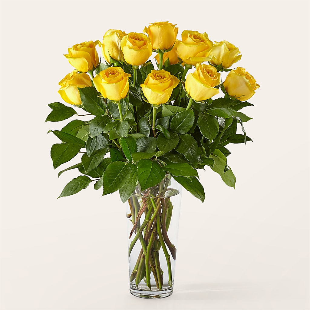 Long Stem Yellow Rose Bouquet – Carrs, Bellevue WA