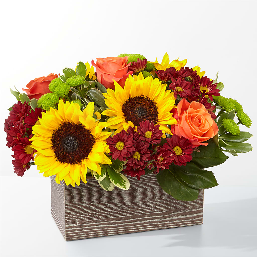 Happy Harvest Garden – Carrs, Bellevue WA