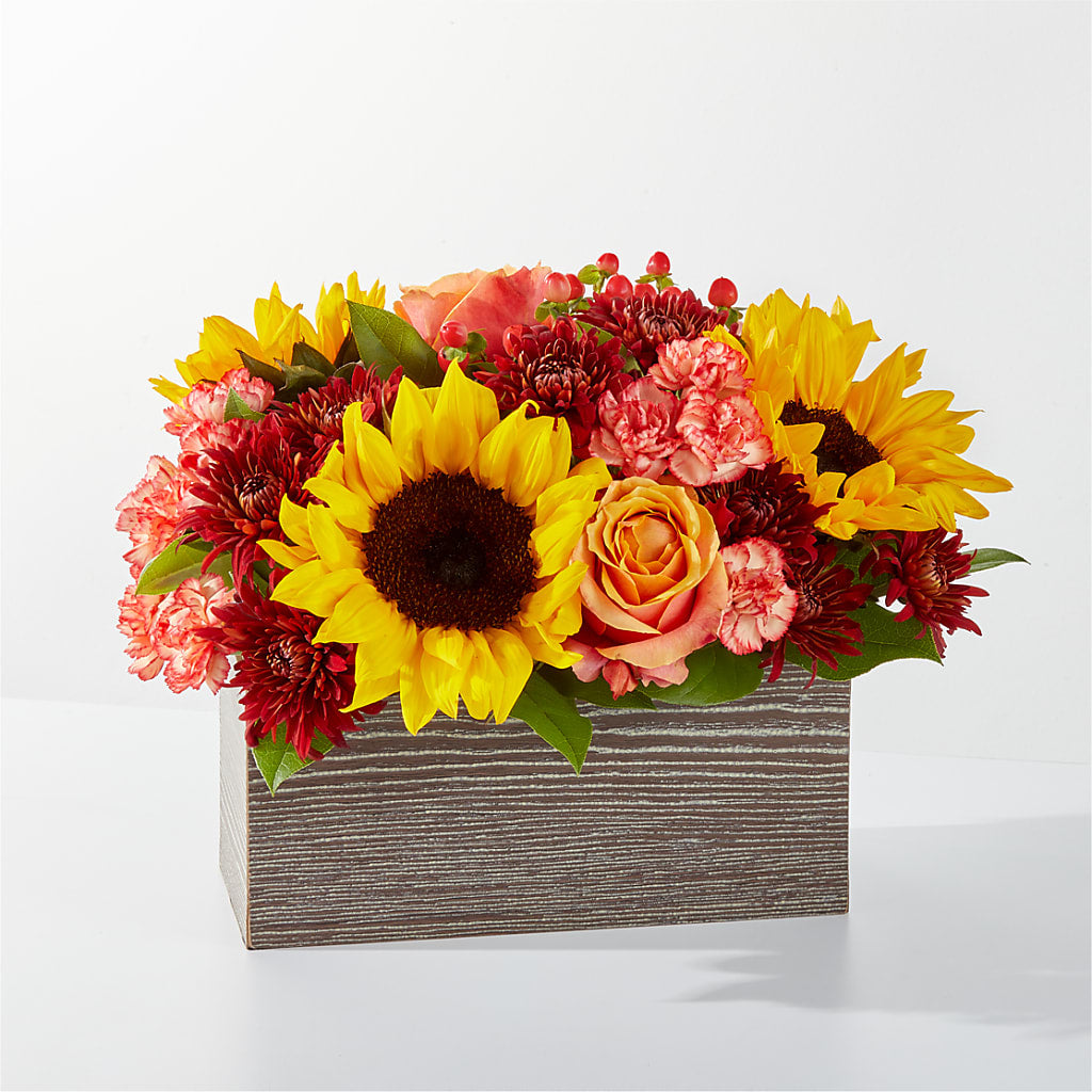 Fresh Cider Bouquet – Carrs, Bellevue WA