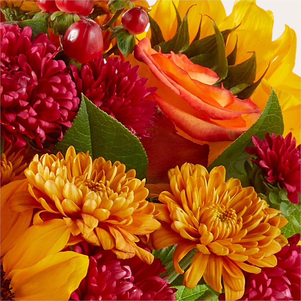 Sweater Season - A Florist Original – Carrs, Bellevue WA