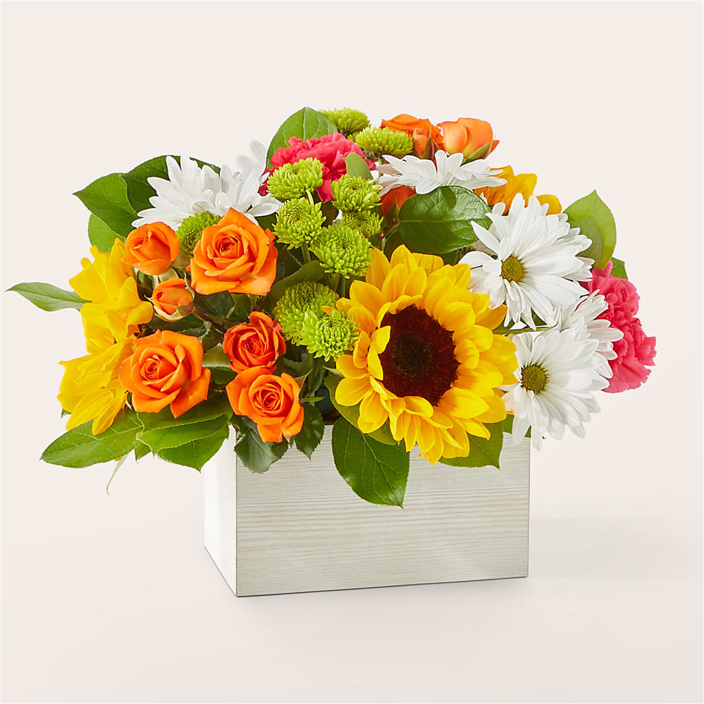 Sun-drenched Blooms Box Bouquet – Carrs, Bellevue WA