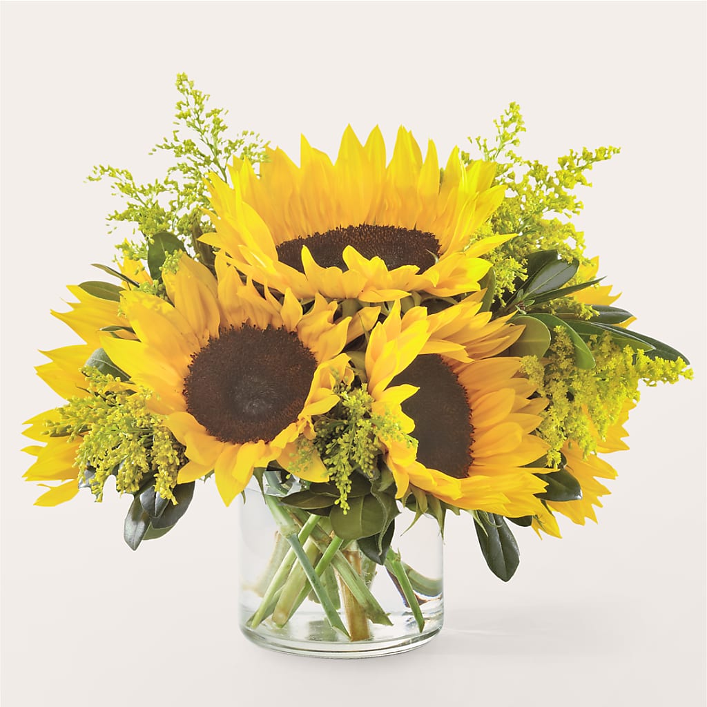 Beaming Sunflower Bouquet – Carrs, Bellevue WA