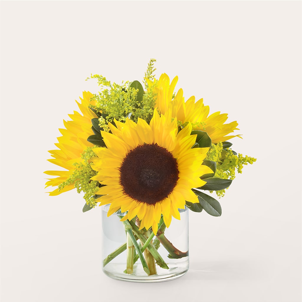 Beaming Sunflower Bouquet – Carrs, Bellevue WA