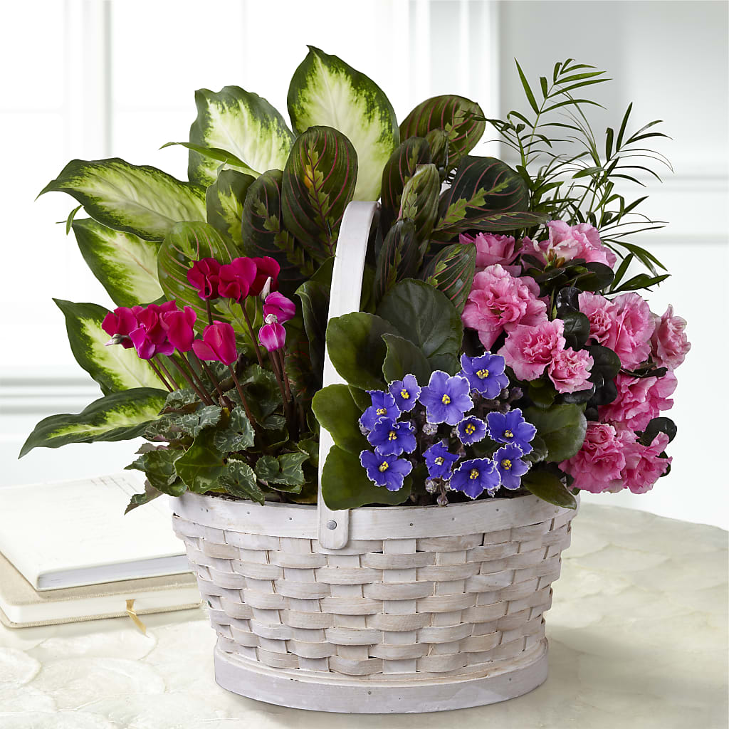 Peaceful Garden Planter – Carrs, Bellevue WA