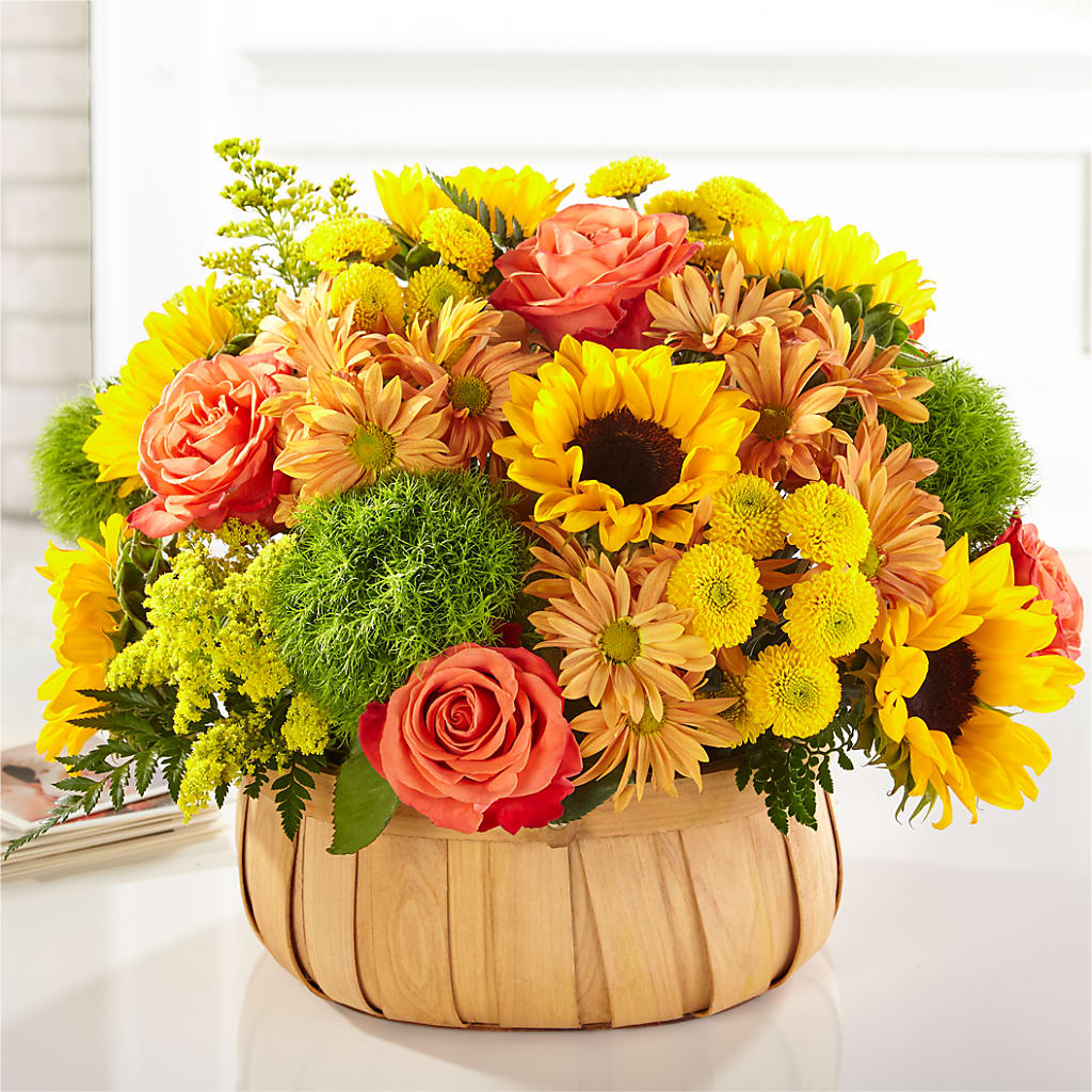 Harvest Sunflower Basket – Carrs, Bellevue WA