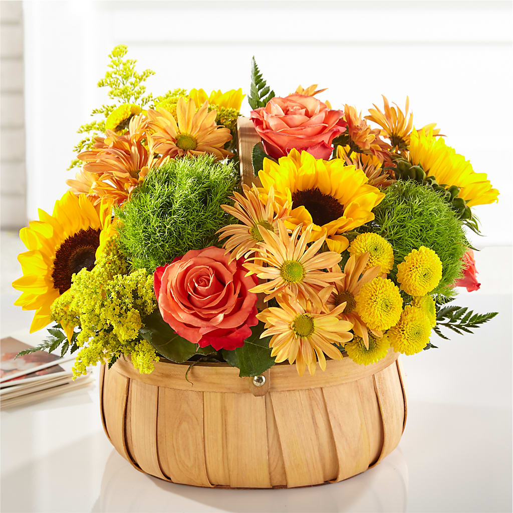 Harvest Sunflower Basket – Carrs, Bellevue WA