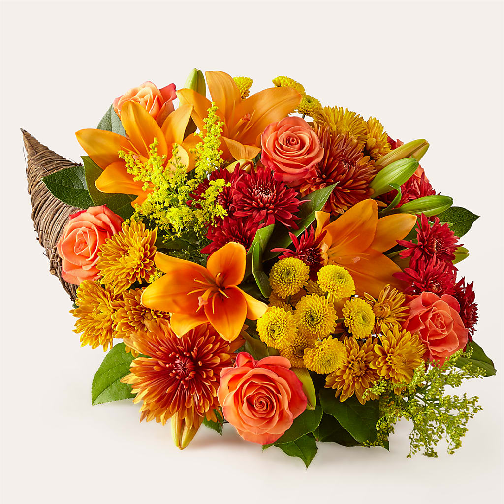 Feast of Color Cornucopia – Carrs, Bellevue WA