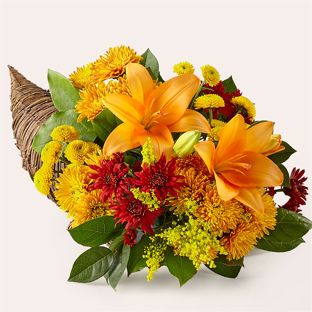 Feast of Color Cornucopia – Carrs, Bellevue WA