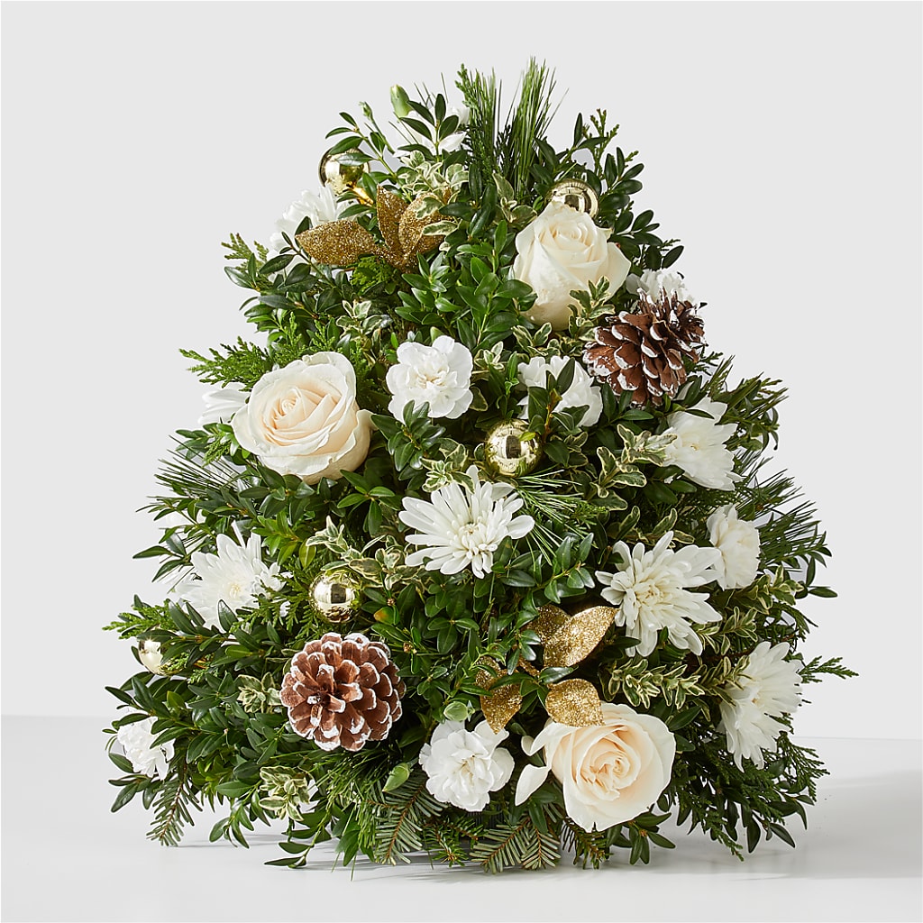 Snowed In Tree – Carrs, Bellevue WA