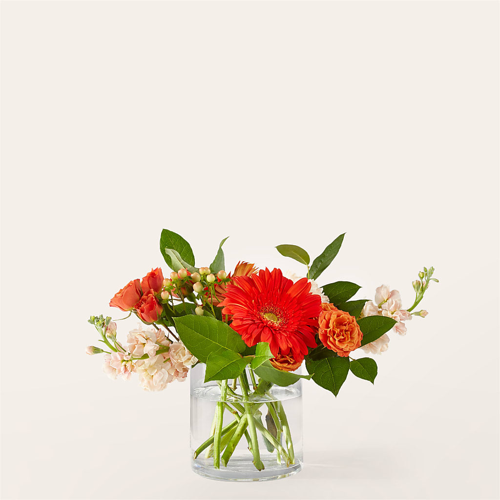 Paloma Please Bouquet – Carrs, Bellevue WA