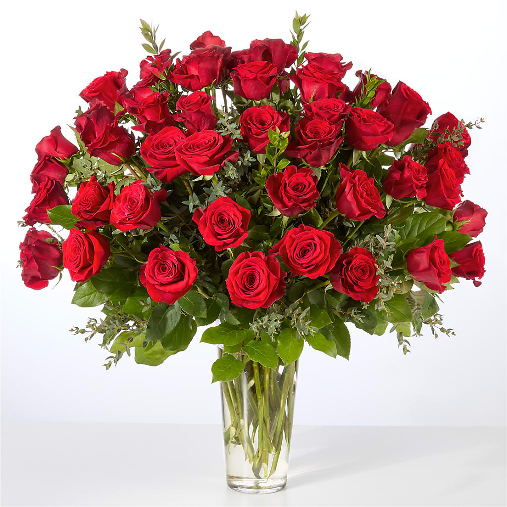 Forever Yours Fifty Stem Red Rose Bouquet – Carrs, Bellevue WA