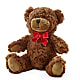 Adorable Plush Bear –  Carrs, Bellevue WA