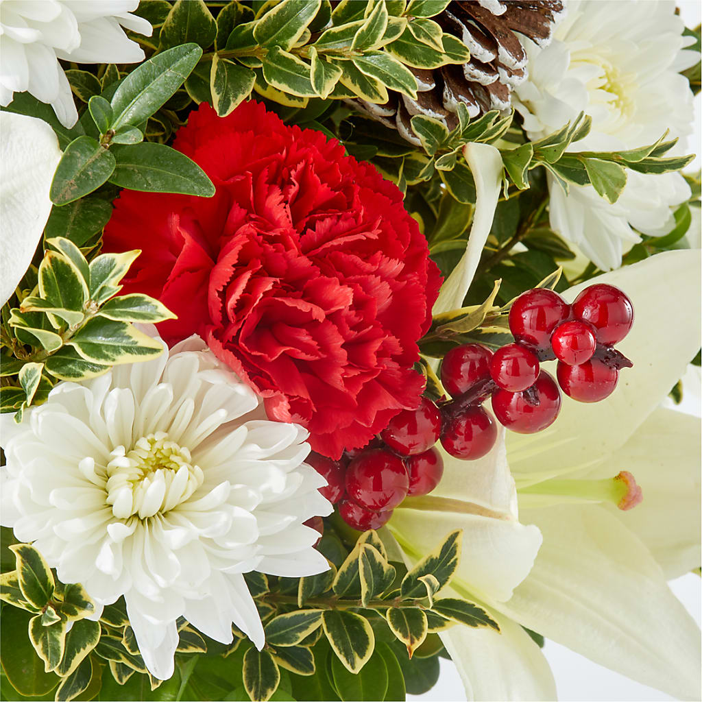 Festive Moments Tree –  Carrs, Bellevue WA