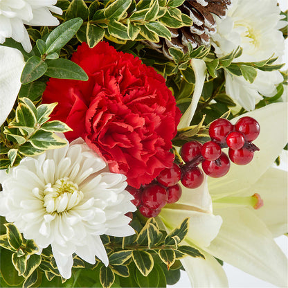 Festive Moments Tree –  Carrs, Bellevue WA