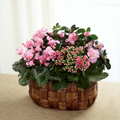 Pink Assortment –  Carrs, Bellevue WA