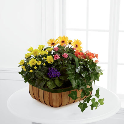 Gentle Blossoms Basket –  Carrs, Bellevue WA