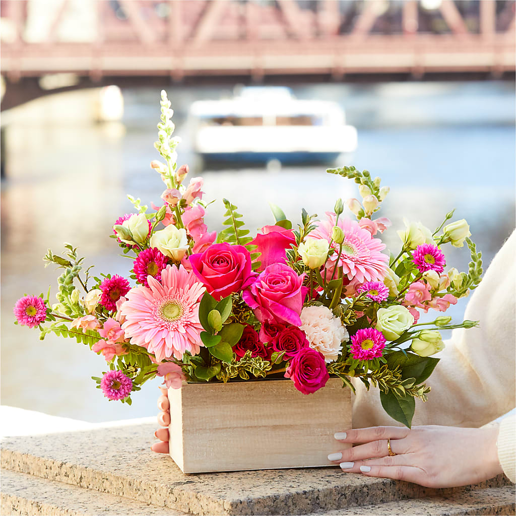 Too Cute Bouquet –  Carrs, Bellevue WA