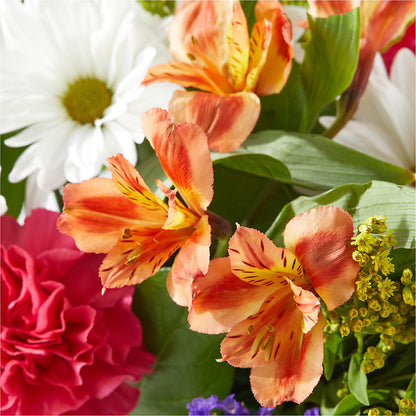 Oopsie Daisy Box Bouquet –  Carrs, Bellevue WA