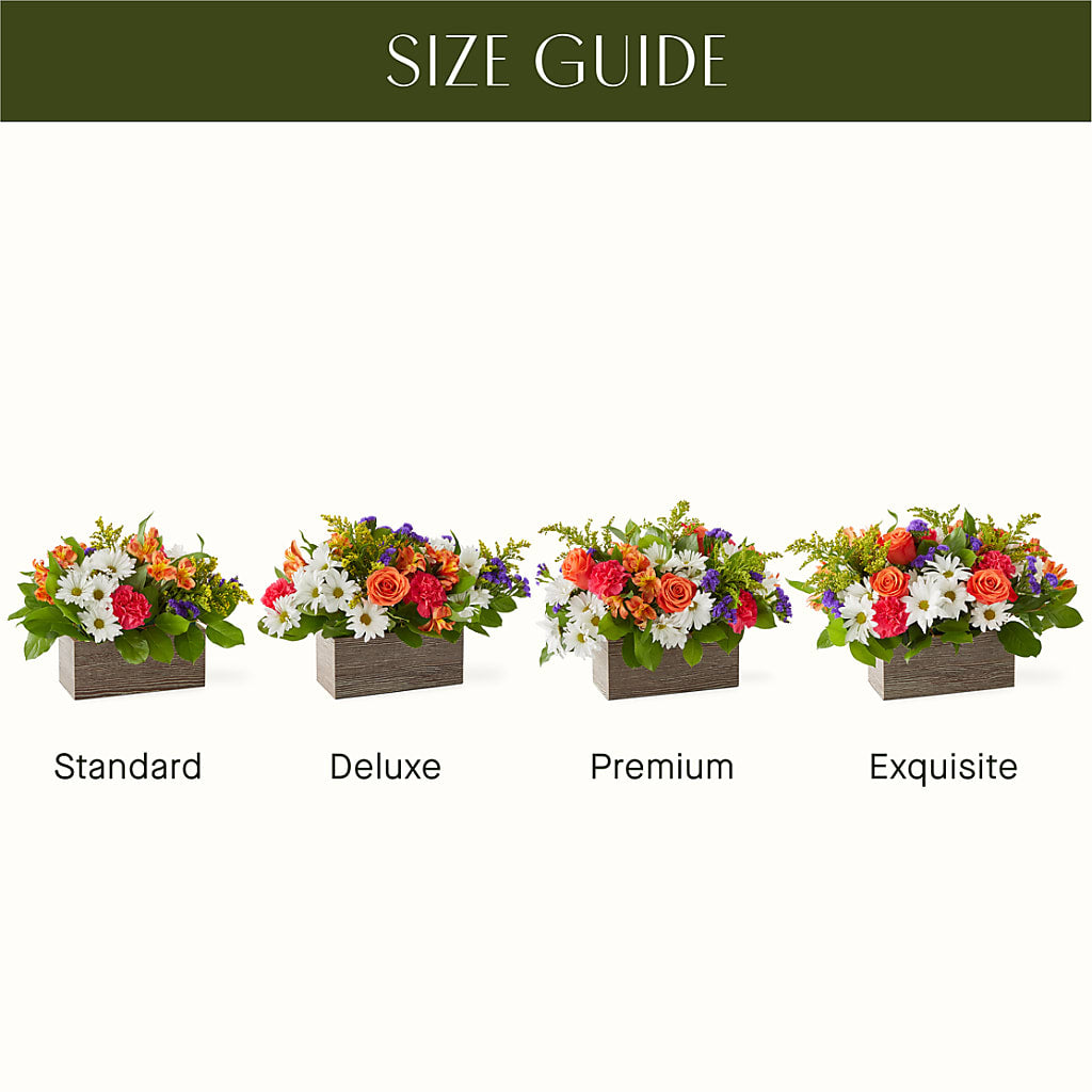 Oopsie Daisy Box Bouquet –  Carrs, Bellevue WA