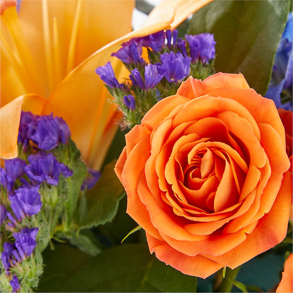 Radiant Citrus Box Bouquet –  Carrs, Bellevue WA