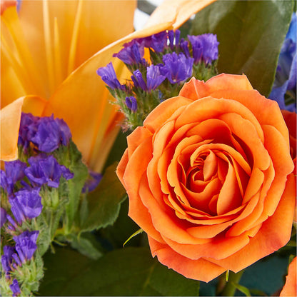 Radiant Citrus Box Bouquet –  Carrs, Bellevue WA
