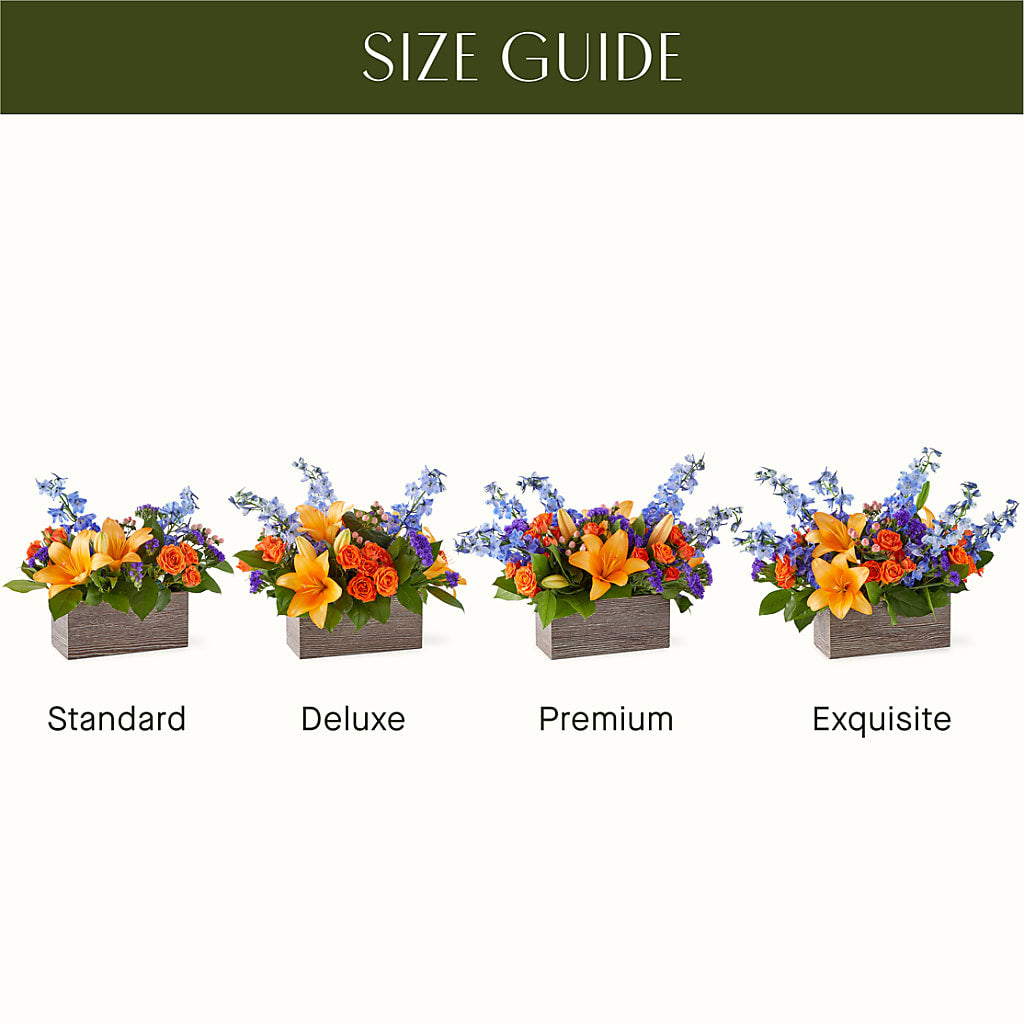 Radiant Citrus Box Bouquet –  Carrs, Bellevue WA