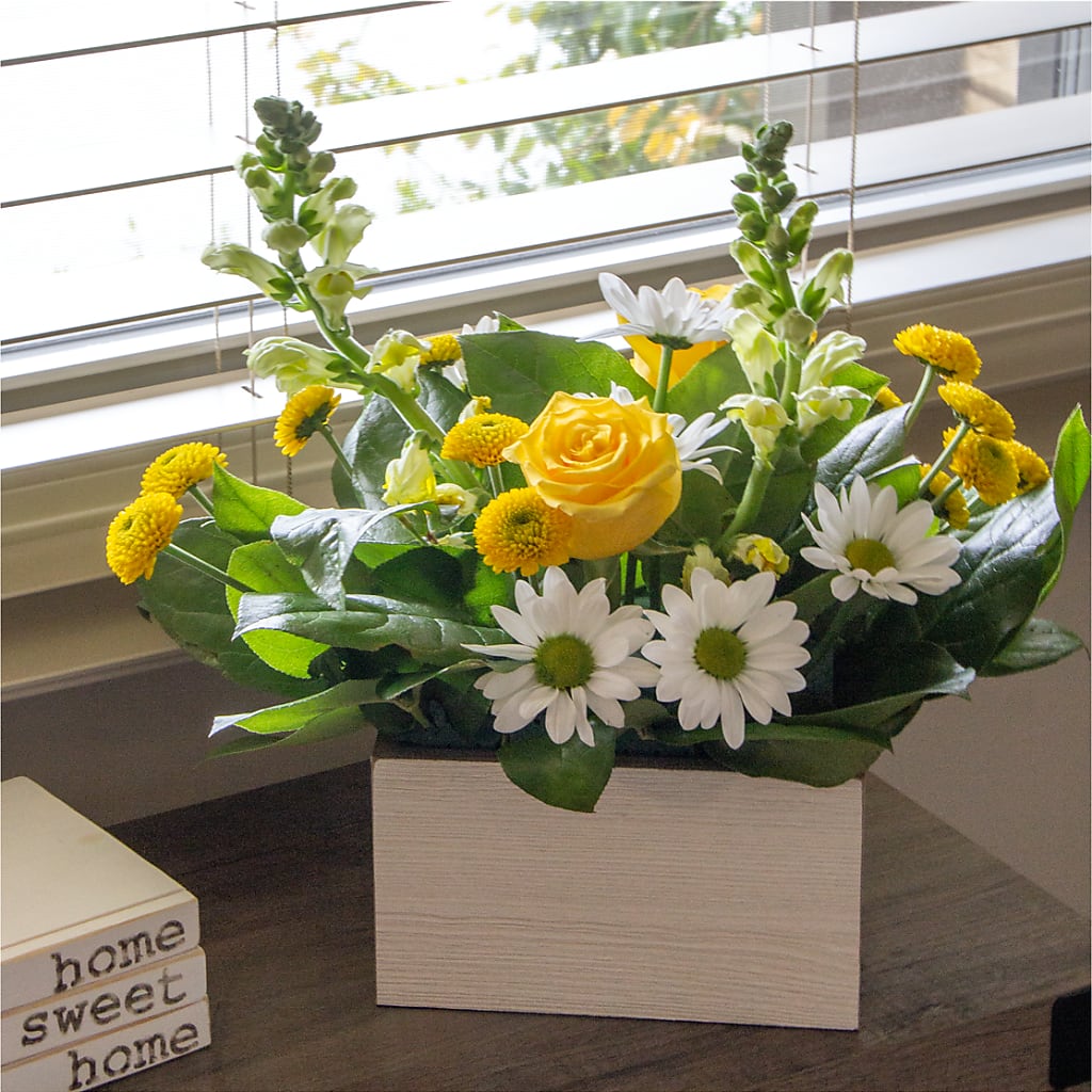 Sun Salutation Box Bouquet –  Carrs, Bellevue WA