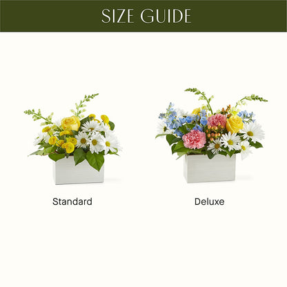 Sun Salutation Box Bouquet –  Carrs, Bellevue WA