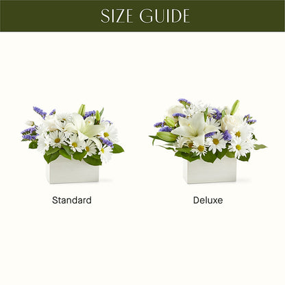 Beyond Blue Box Bouquet –  Carrs, Bellevue WA
