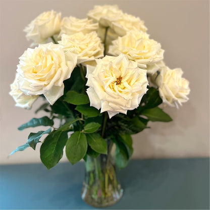 Long Stem Yellow Rose Bouquet –  Carrs, Bellevue WA