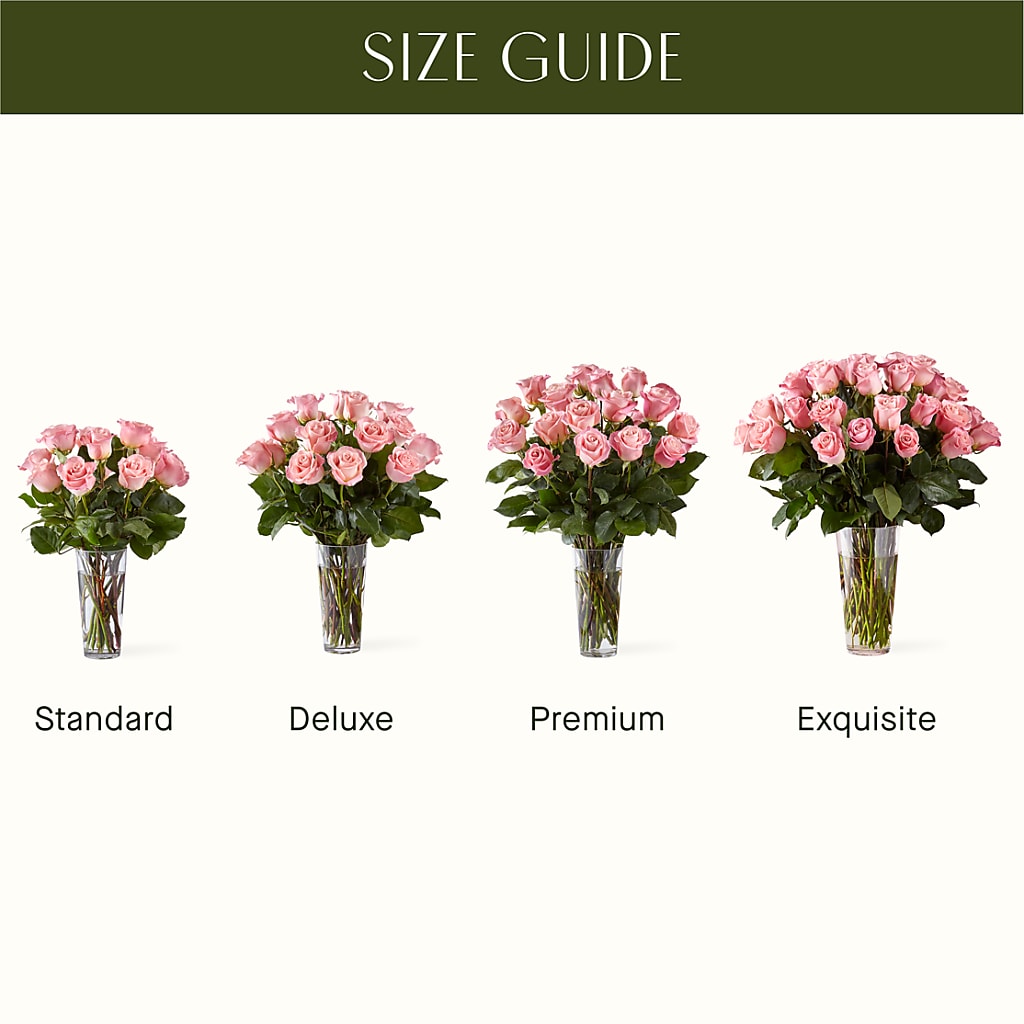Long Stem Pink Rose Bouquet –  Carrs, Bellevue WA