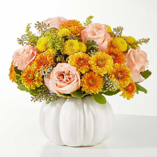 Peachy Pumpkin –  Carrs, Bellevue WA