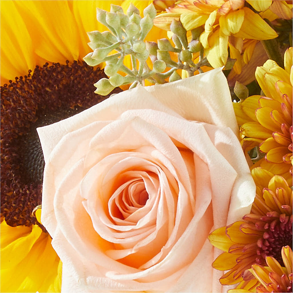Pumpkin to Talk About Bouquet –  Carrs, Bellevue WA