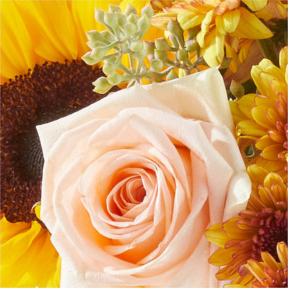 Pumpkin to Talk About Bouquet –  Carrs, Bellevue WA