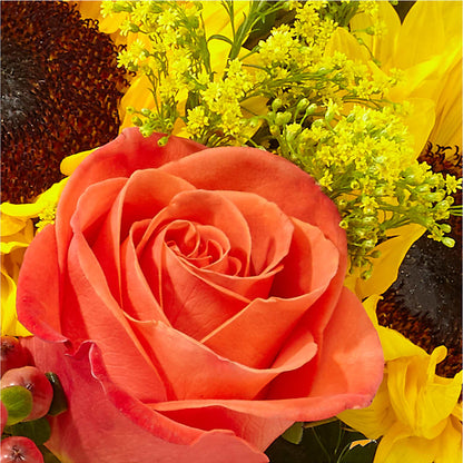 Pick of the Patch Pumpkin Bouquet –  Carrs, Bellevue WA