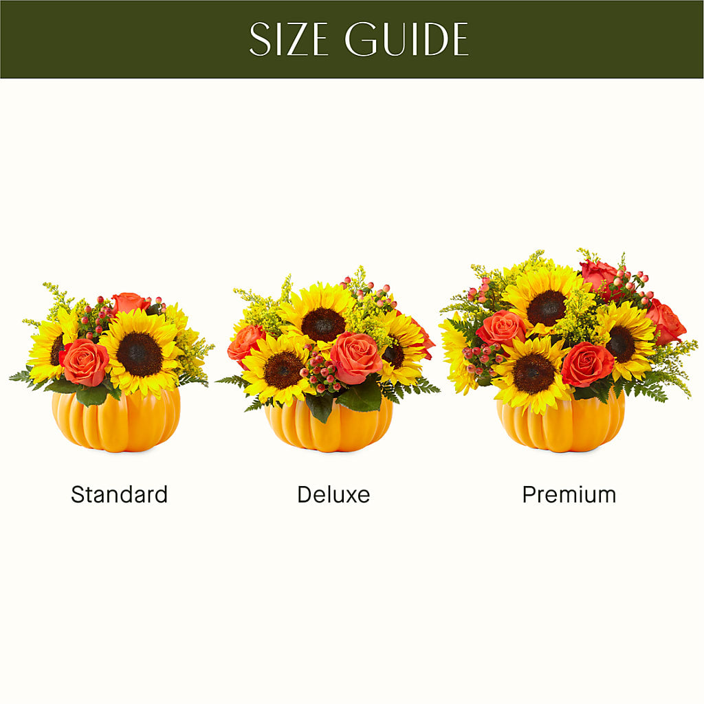 Pick of the Patch Pumpkin Bouquet –  Carrs, Bellevue WA
