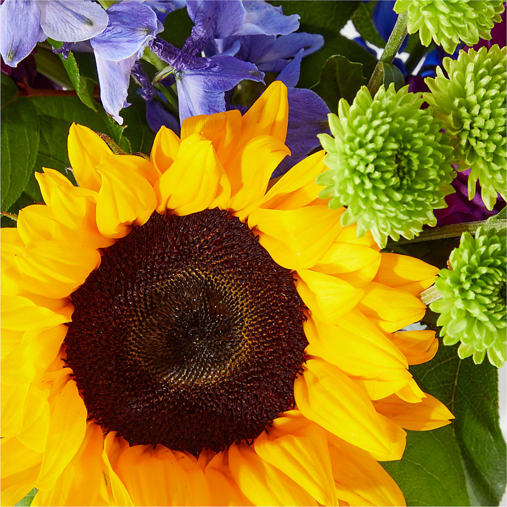 Catching Rays Bouquet –  Carrs, Bellevue WA