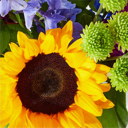 Catching Rays Bouquet –  Carrs, Bellevue WA