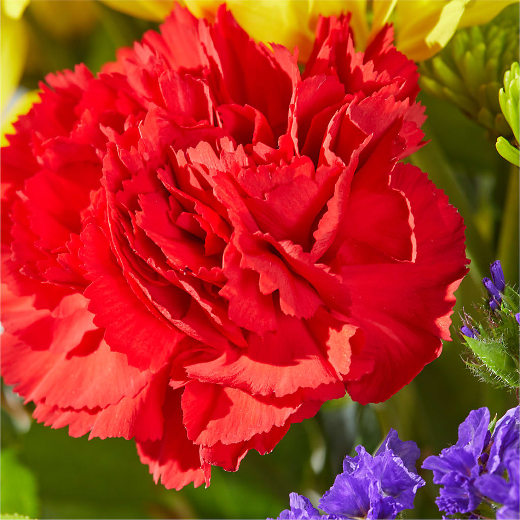 Brighter Days Bouquet –  Carrs, Bellevue WA