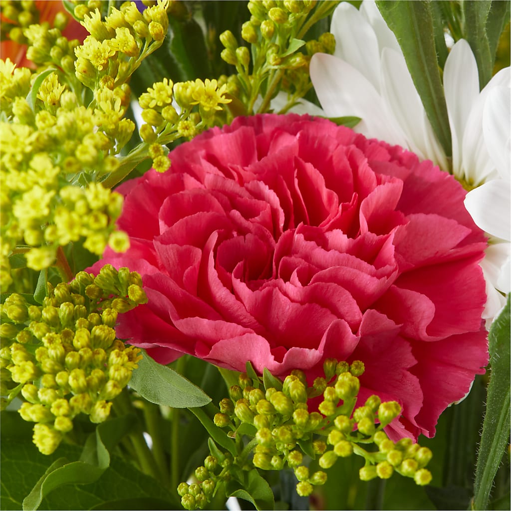 Oopsie Daisy Bouquet –  Carrs, Bellevue WA