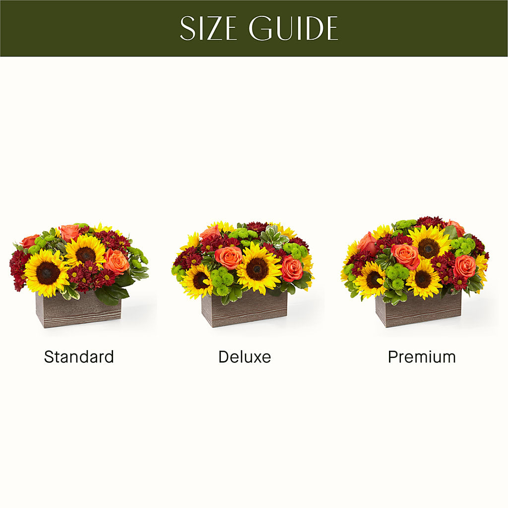 Happy Harvest Garden –  Carrs, Bellevue WA