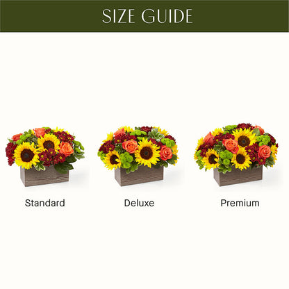 Happy Harvest Garden –  Carrs, Bellevue WA