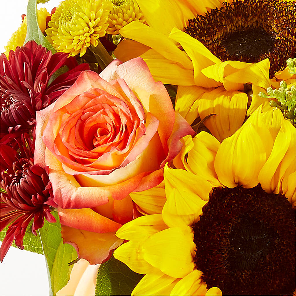 Golden Gourd Pumpkin Bouquet –  Carrs, Bellevue WA