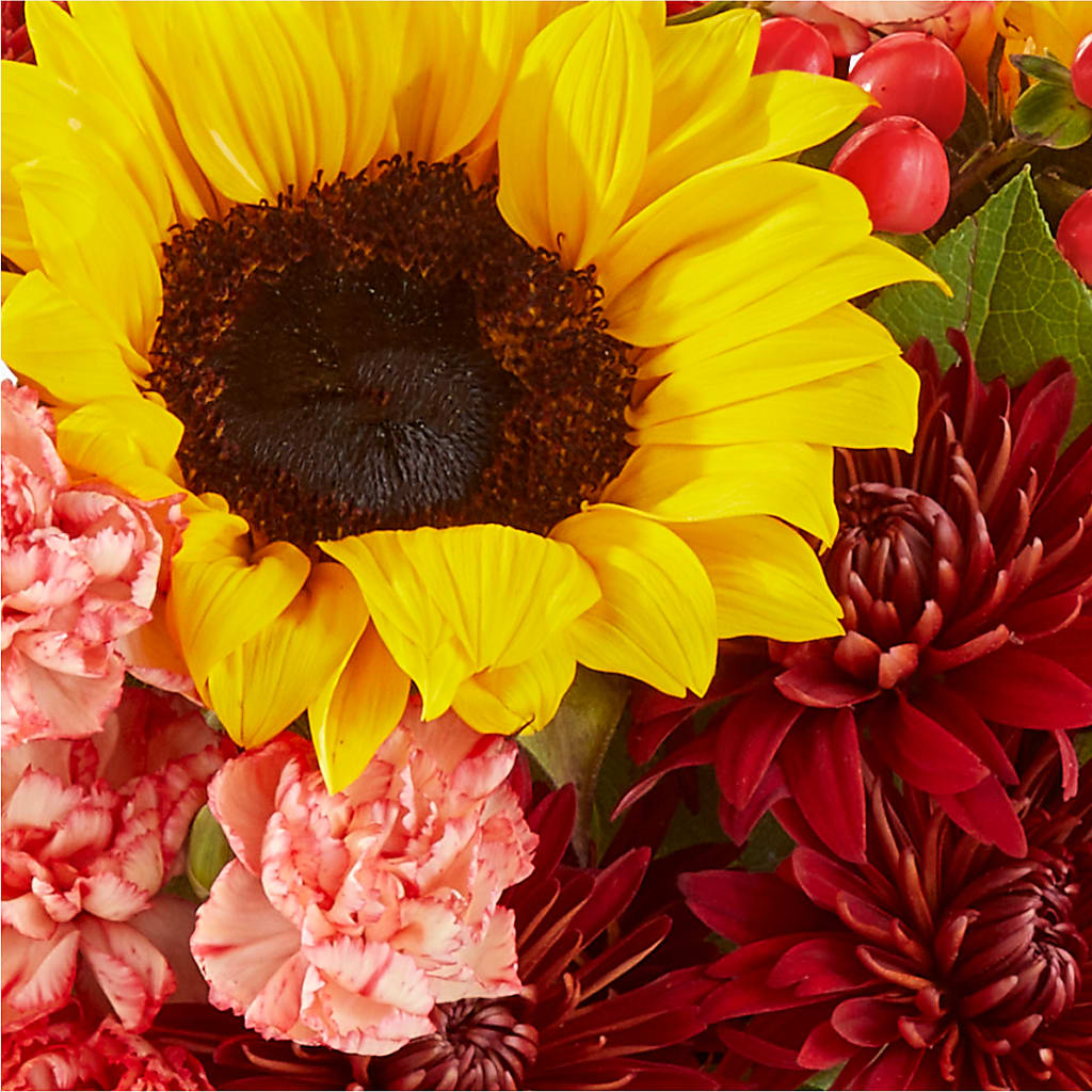 Fresh Cider Bouquet –  Carrs, Bellevue WA
