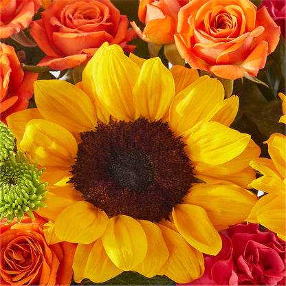 Sun-drenched Blooms Box Bouquet –  Carrs, Bellevue WA