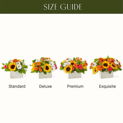 Sun-drenched Blooms Box Bouquet –  Carrs, Bellevue WA