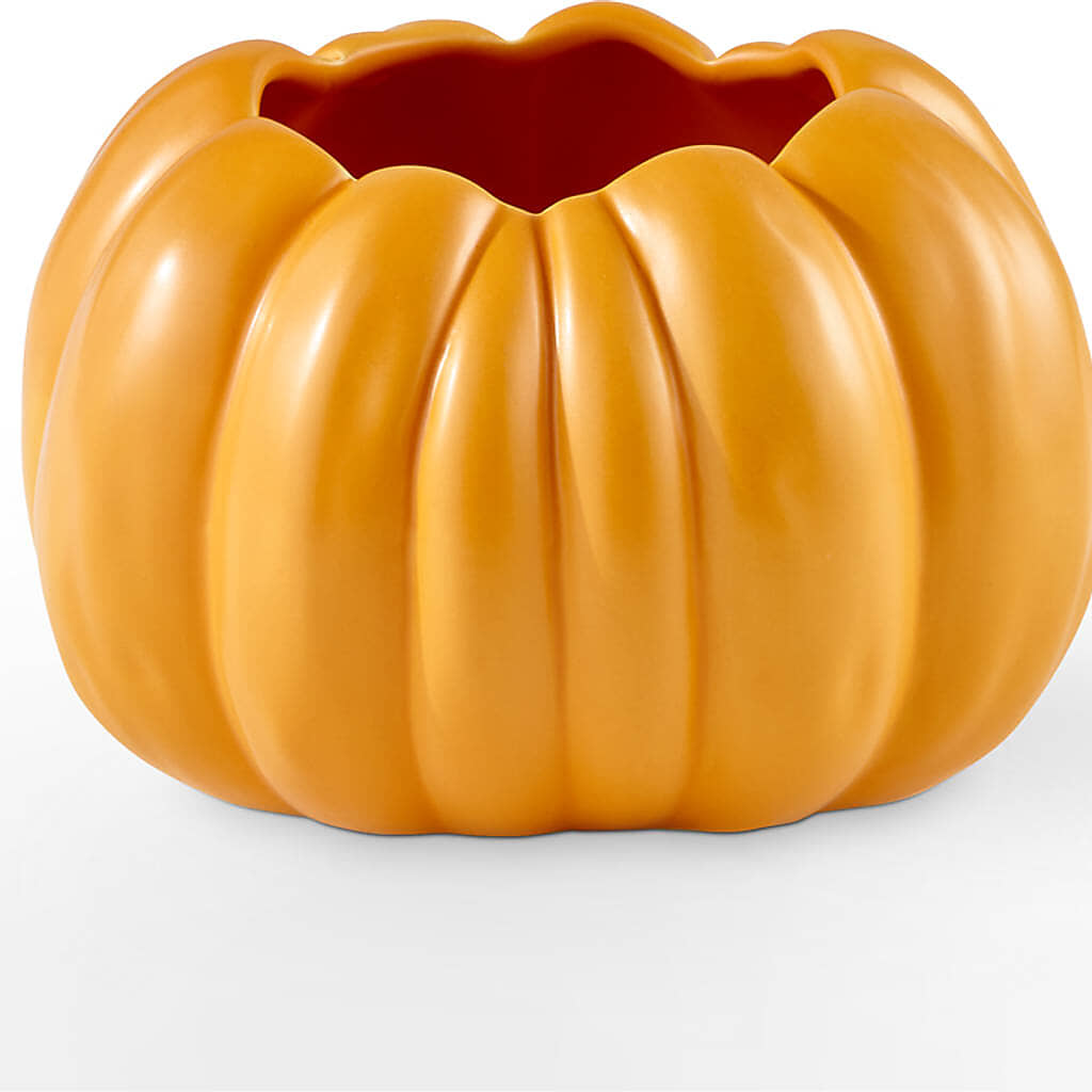 Golden Gourd Pumpkin Bouquet –  Carrs, Bellevue WA